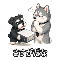 Cool Schnauzer & Boss Husky Partners