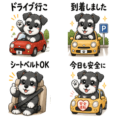 Car Lover Schnauzer