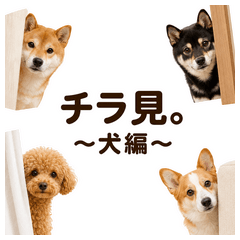 Peeking Dogs