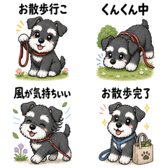 Schnauzer Dog Moments