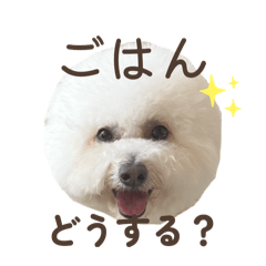 haruharu_20260621233938