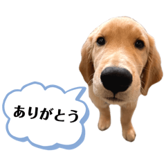 Char._20260626112550