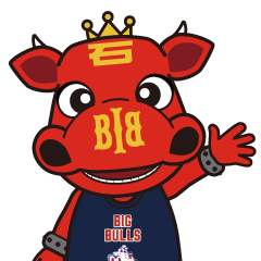 LET'GO BULLZO!