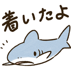 Tender shark by IRAStudio