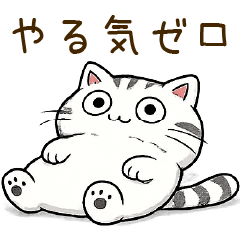nekokokoichiban