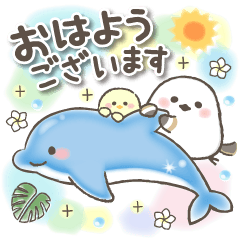 SHIMAENAGA and SeaCreatures Summer