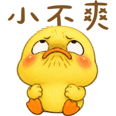 Duck Replies With Its Face