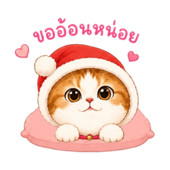 Mika the chubby cat says hello v.2