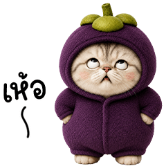 Chubby cute cat in Magosteen outfit