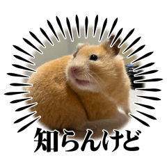 Yuka_20260618202546