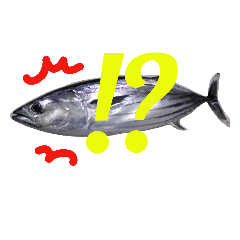 Surreal skipjack tuna