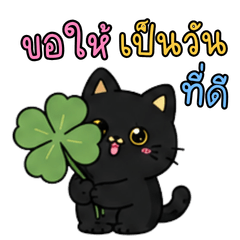 แมวดำน้อยน่ารัก สดใส คำพูดใช้ได้ทุกวัน