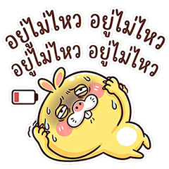 ต่ายหน้ามึน แรบบิทเยลโล่