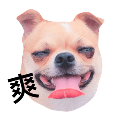 胖妹蔡包