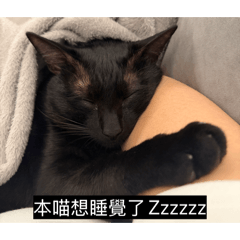 許托比
