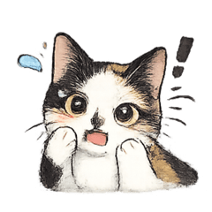 小三花的生活