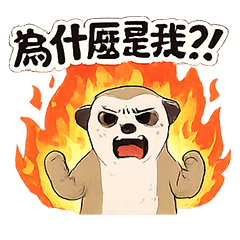 狐獴的人生-第三章
