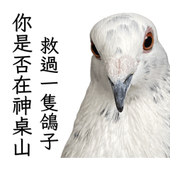 小白老白女生男生13144243