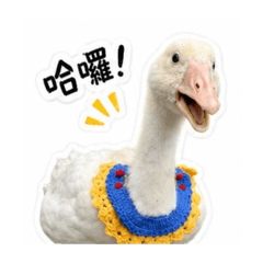 鵝仔煎日常