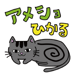amesyo hikaru