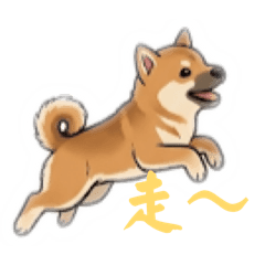 蔡小玉的狂犬病日常