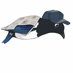 Magpie AI Images