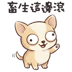 cute cute dog chihuahua 3