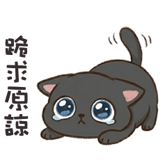 petite black cat 5