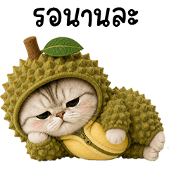 Chubby cute cat in Durain outfit