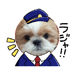 Momo_20260627135452