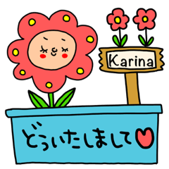 Karina専用セットパック