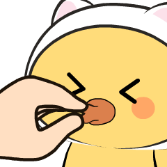 Cat Duck : Animated