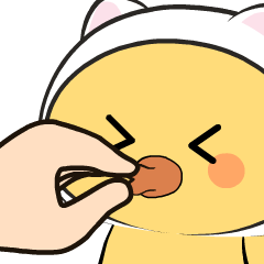 Cat Duck : Animated