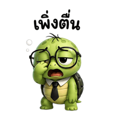 Green turtle burnout