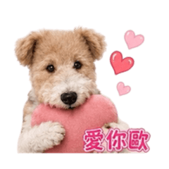 米米歐的日常生活