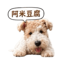米米歐的日常生活用語