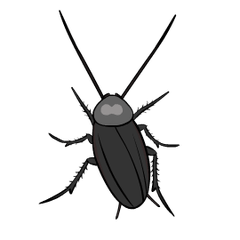 Funny Cockroach : Pop-up stickers