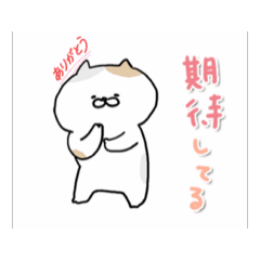 Mei_20260628084534