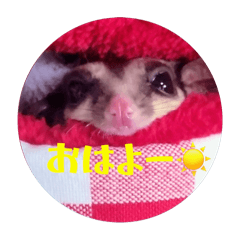 UNK_20260624122830