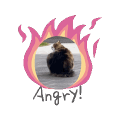 Oung sticker test