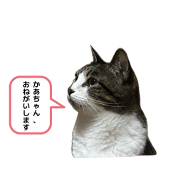 Koike_20260627173025