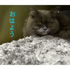 *HARUNO*_20260627084629