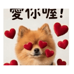 安娜feng