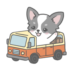 Sweet and Fluffy Chihuahua Adventure