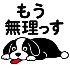 kaigoinu 14