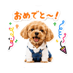 kuru-nico_20260628111850