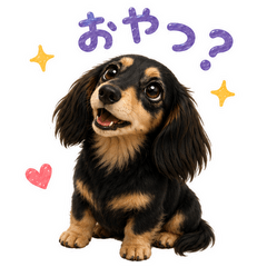 Daily Dachshund Life