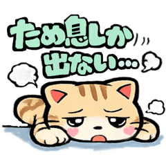 Heart cheek_20260627134451