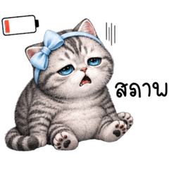 Tabby Cat Burnt Out