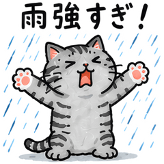 夏・梅雨・熱中症・雨猫スタンプ